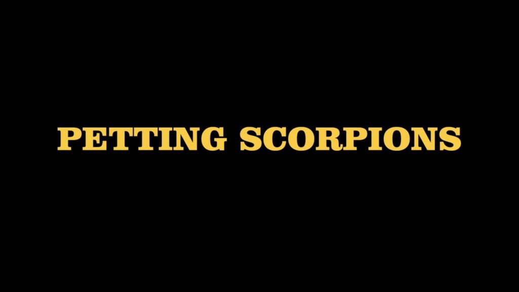 Petting Scorpions
